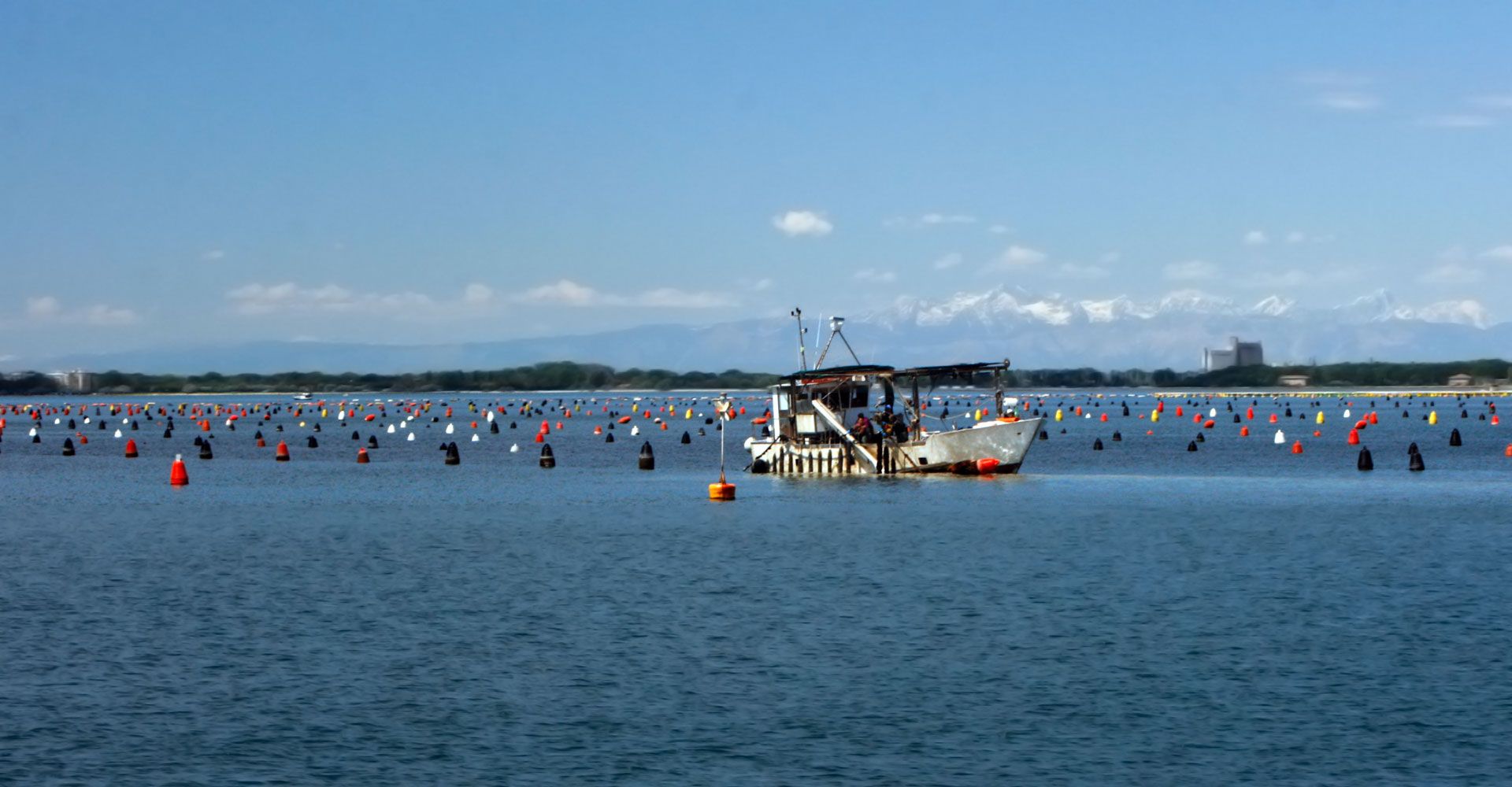 SISI è al Sealogy 2021 di Ferrara