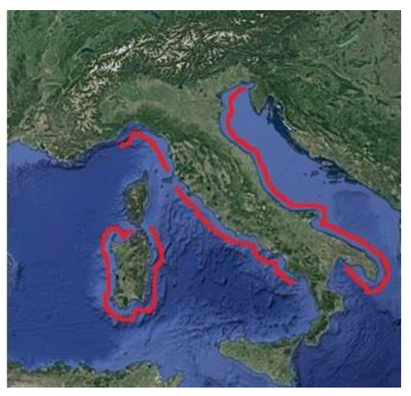 Contaminazione da metalli pesanti nei molluschi: valutazione rischio-beneficio nel centro-Italia