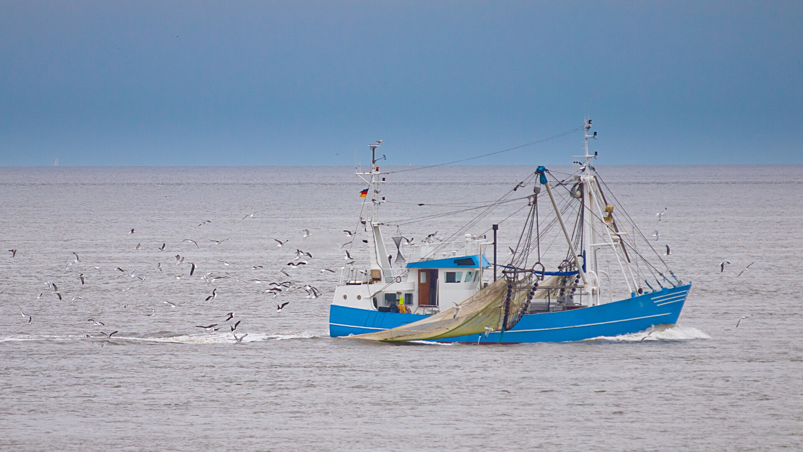 Decreto Ministeriale n. 149546 del 31 marzo 2022 - Fondo per lo sviluppo e il sostegno delle filiere agricole, della pesca e dell'acquacoltura annualità 2022